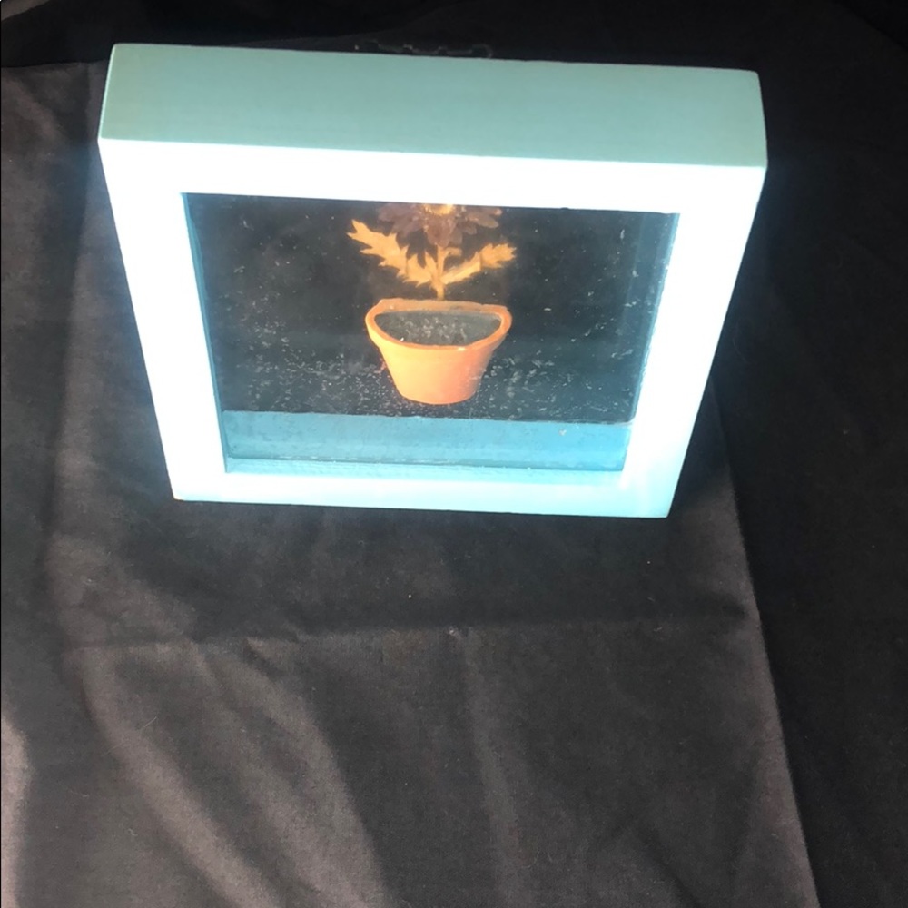 Sun Flower Pot In A Box - Picture 2 of 5